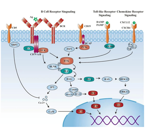 1657262979228108.png 圖片.png