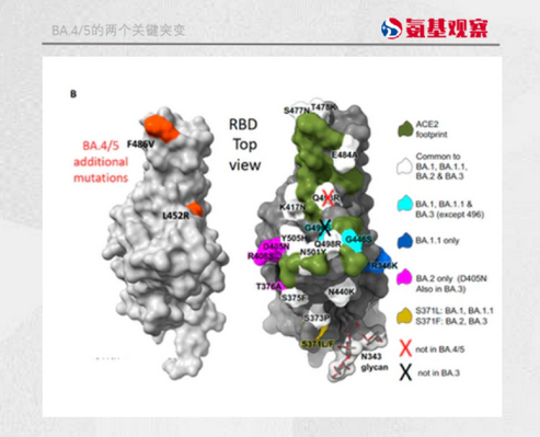 1657263451140098.png 圖片.png