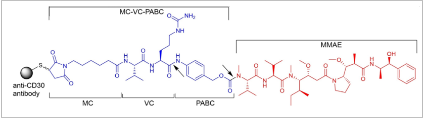 1657781239155678.png 圖片.png