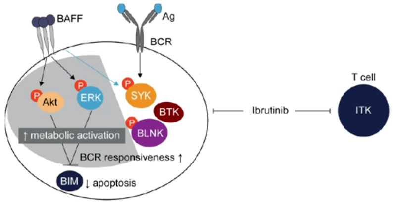 1661484547308410.png 5.png