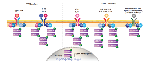 1661753515245549.png 00.png