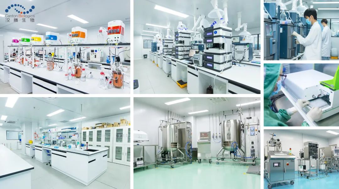 1666073429401097.jpg 2.jpg