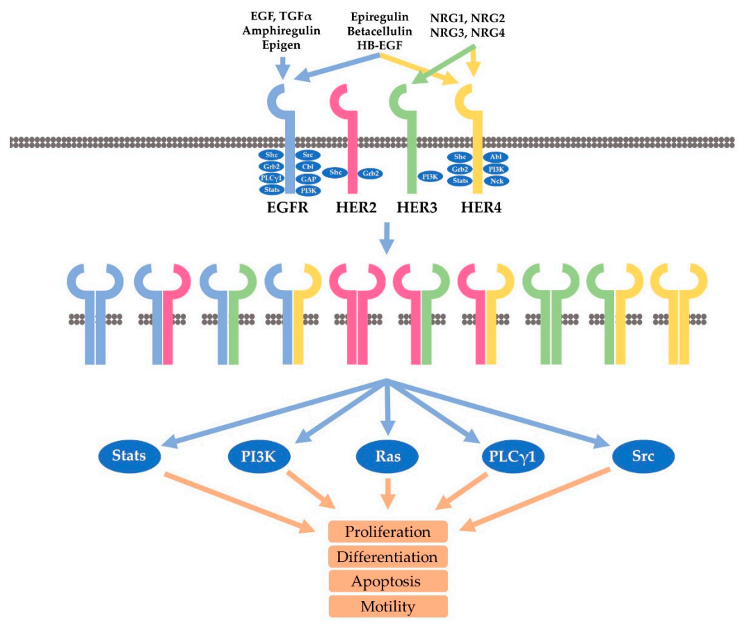 1667890855619664.png 03.png