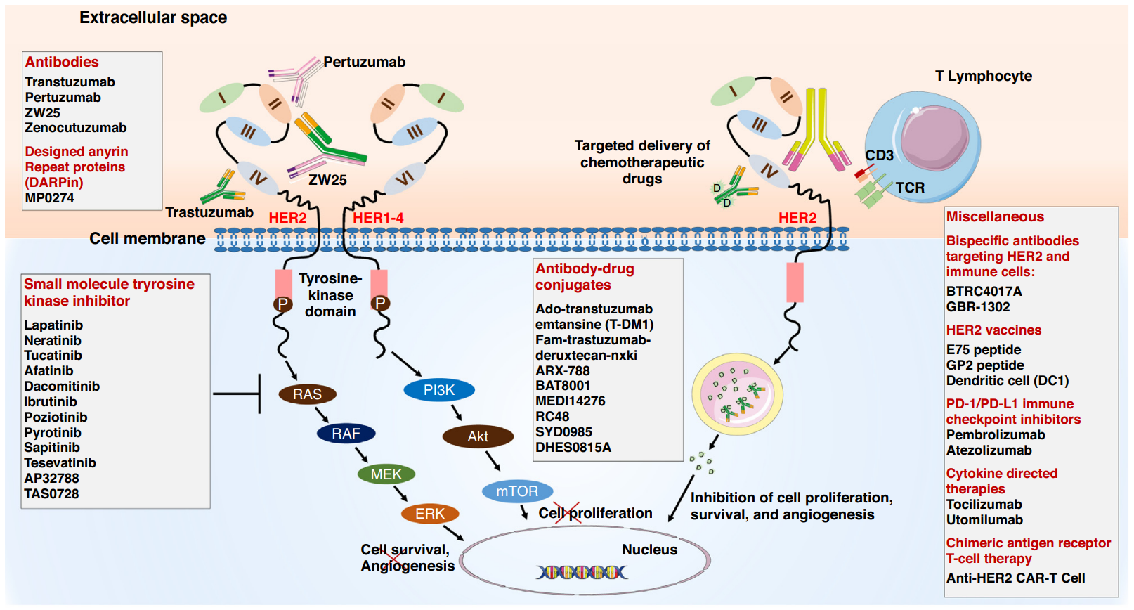 1667890874156969.png 05.png