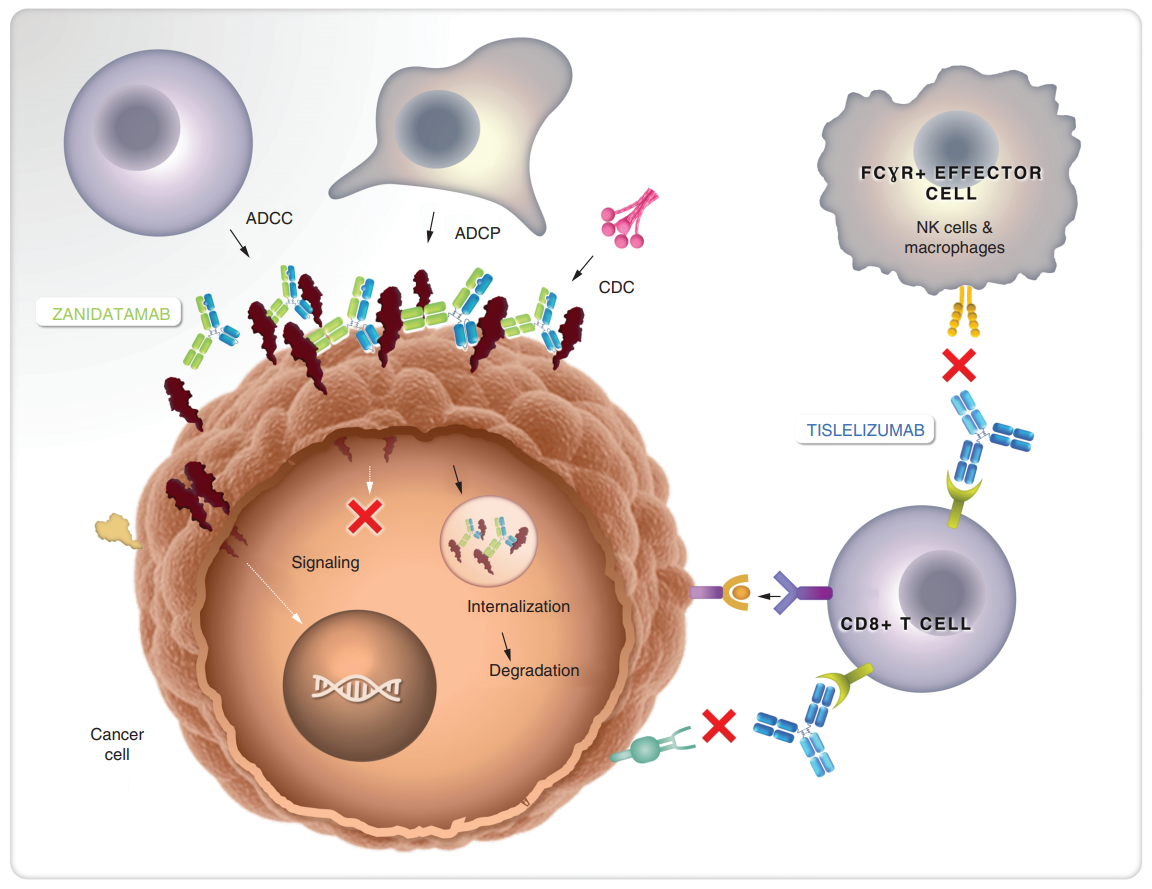 1667890918923967.png 08.png