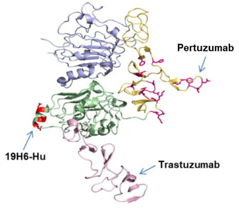 1667890926382084.png 09.png