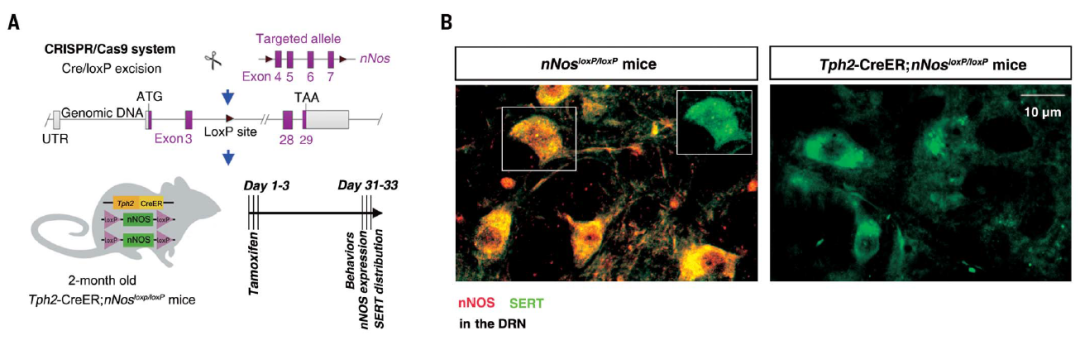 1669174694110586.png 3.png