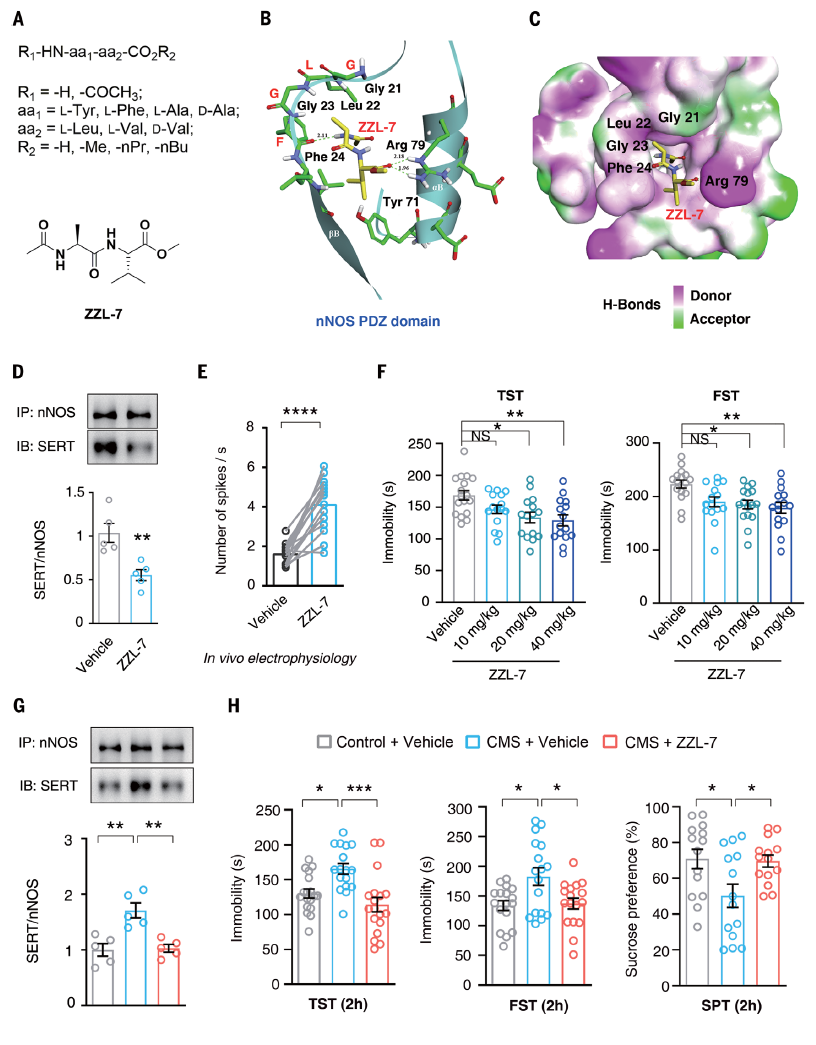 1669174713395112.png 4.png