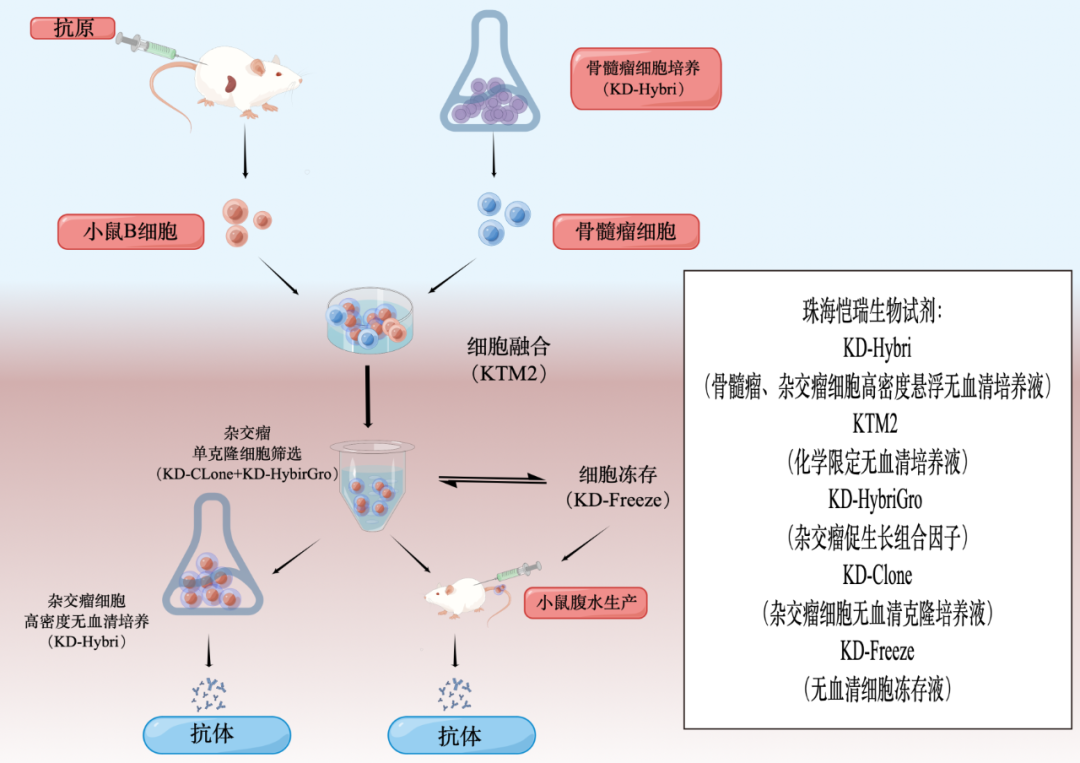 1670827755736453.png 2.png