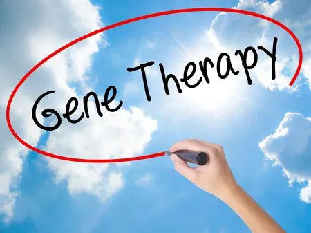 1681699976446534.jpg 4.jpg