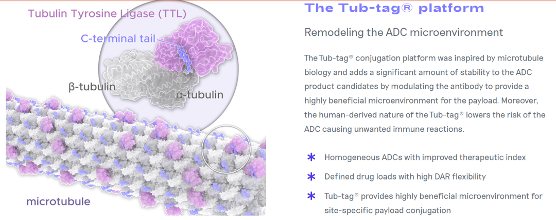 1682047153256387.png 19.png