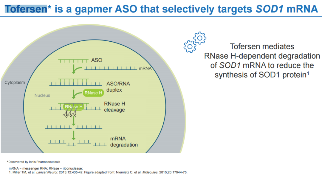 1683361816971775.png 2.png