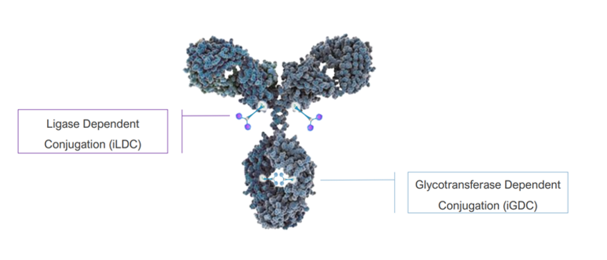 1684822211521434.png 微信截圖_20230523140130.png