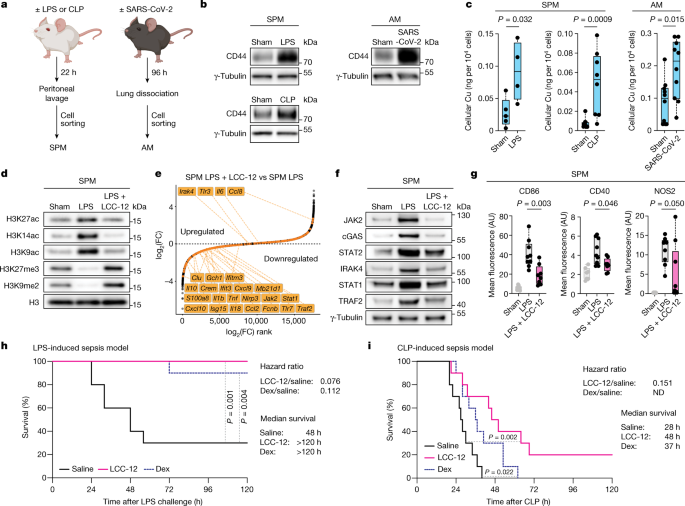 1684918462785546.png 4.png