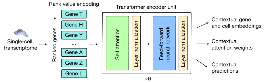 1686814185146094.png 4.png