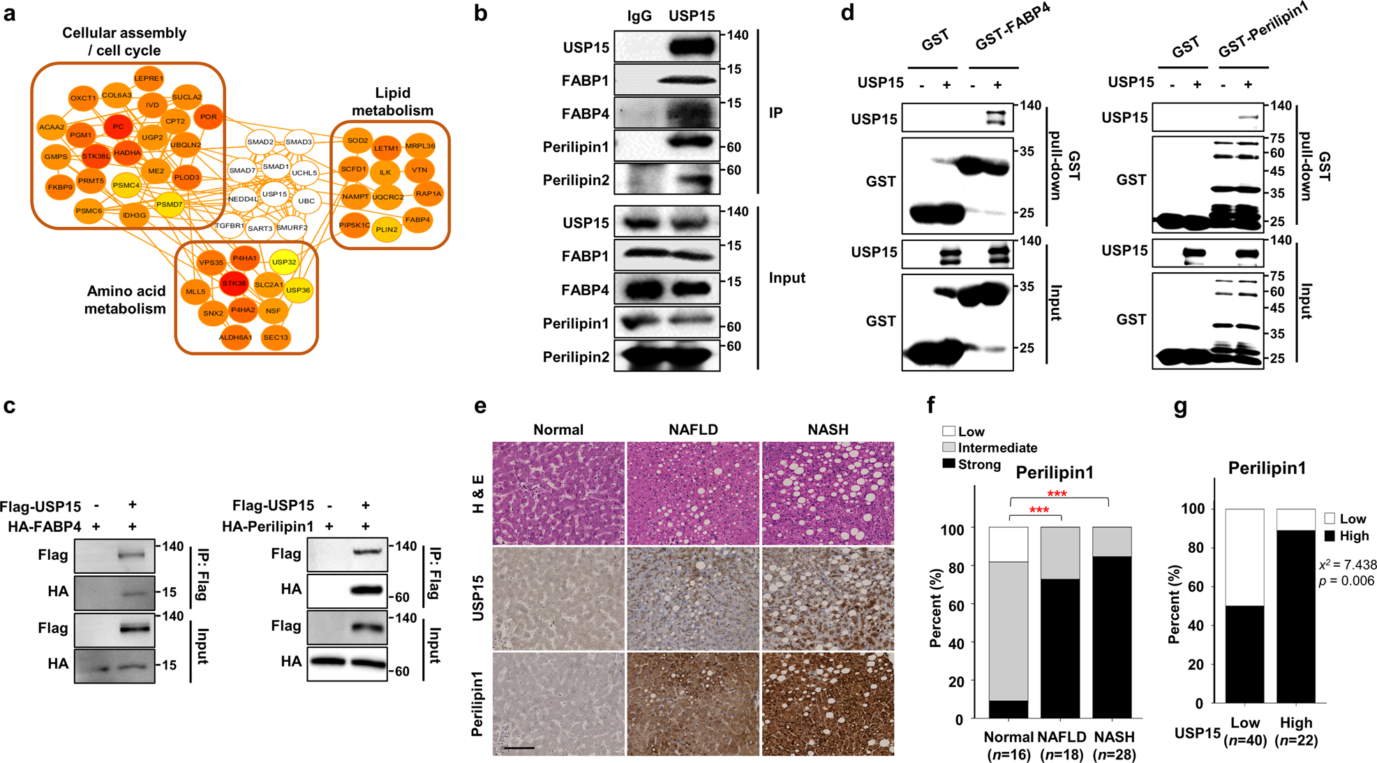 1689134313511716.png 12276_2023_1036_Fig2_HTML.png