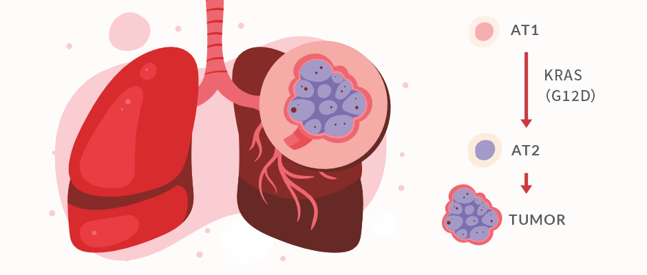 1690958303249401.png KRAS(G12D)頭圖.png
