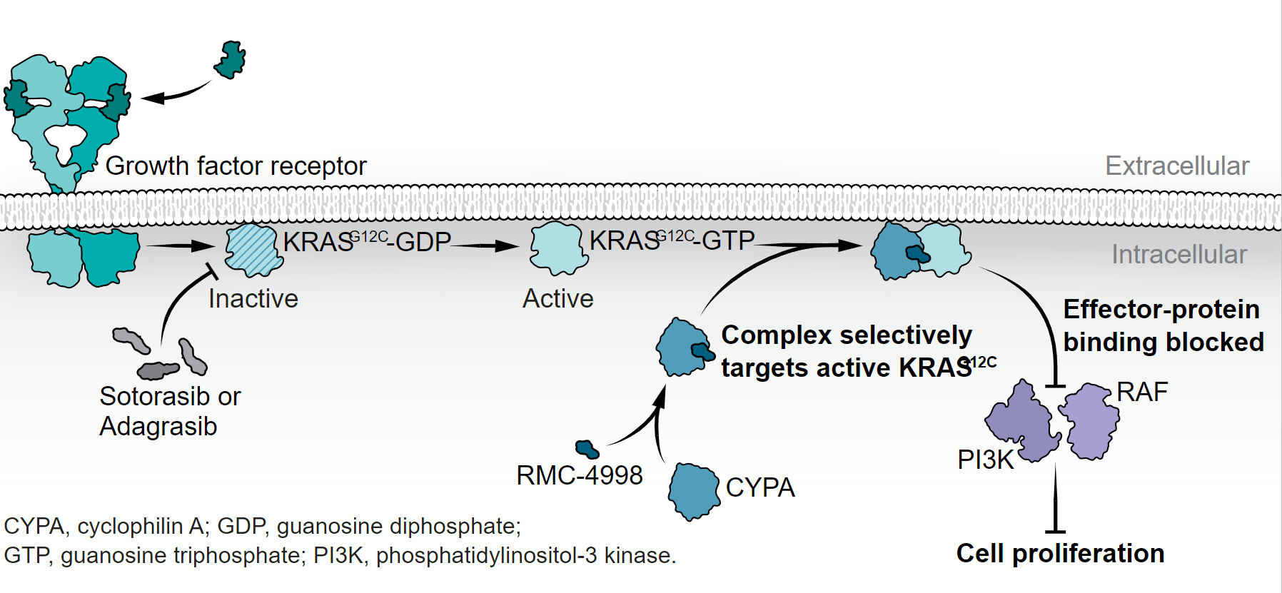 1692950746655862.png QQ截圖20230824112311.png