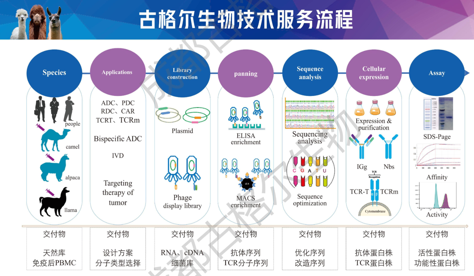 1694150733122370.png image.png