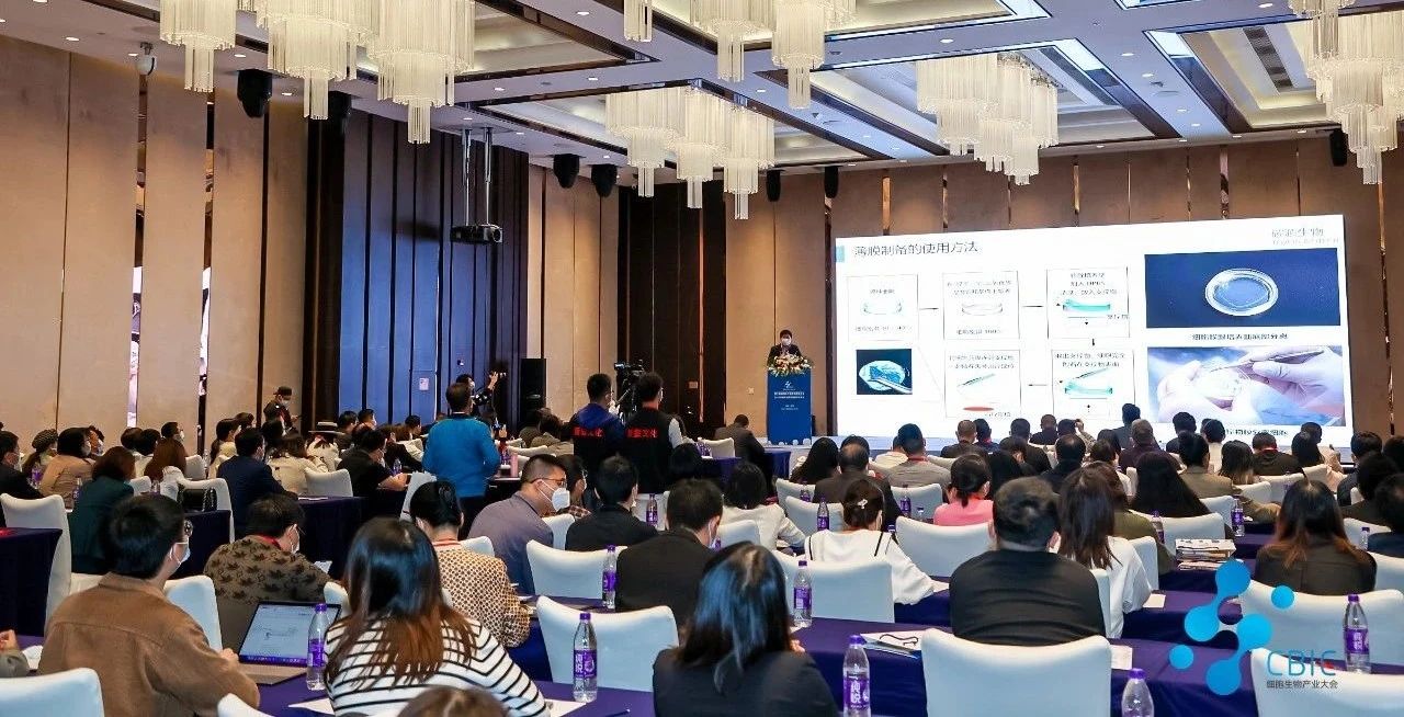 1699350871624695.jpg 2.jpg