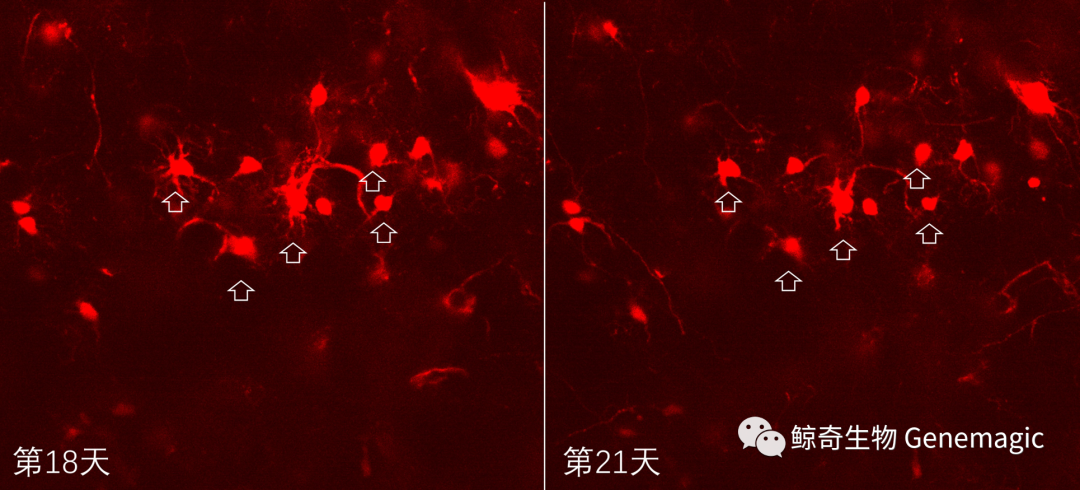 1699425238321670.png 24.png