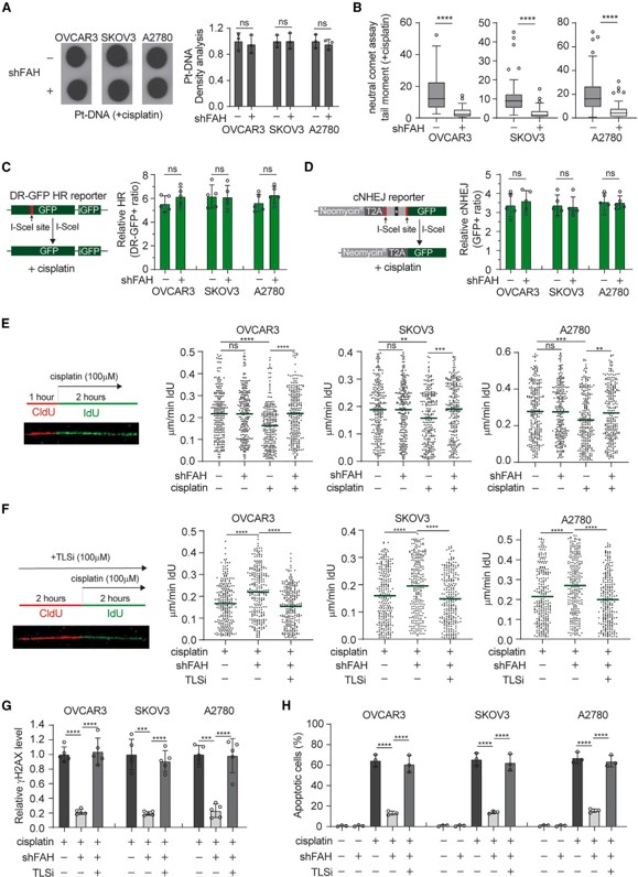 1701322525547748.jpg 圖片3.jpg