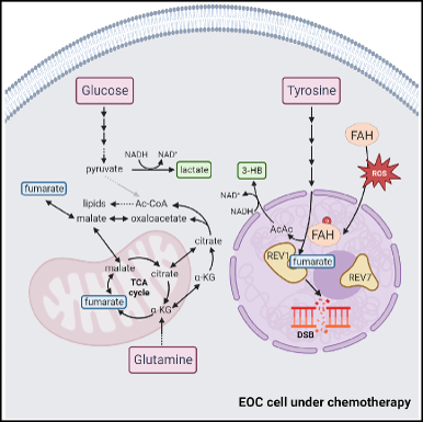 1701322532263719.png 圖片4.png