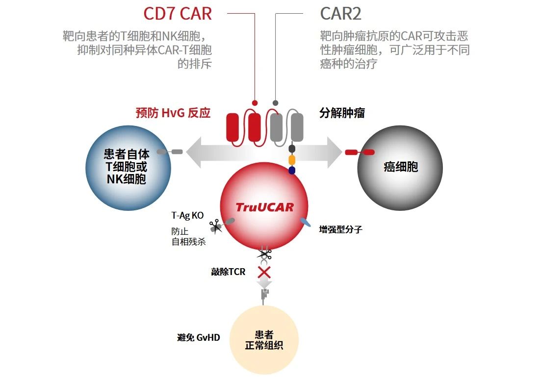 1703583014362012.jpg 13.jpg