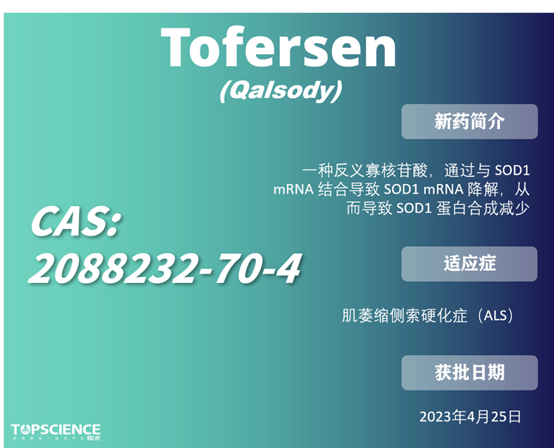 圖片4.png