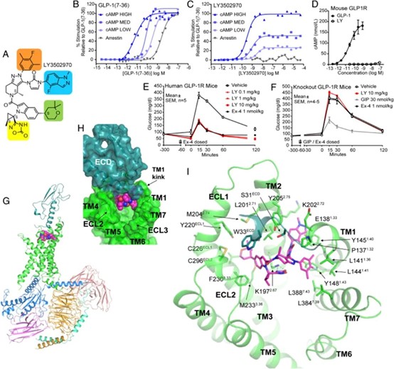 1708499704461525.jpg A2.jpg