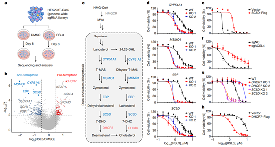 1708500136938931.png D2.png