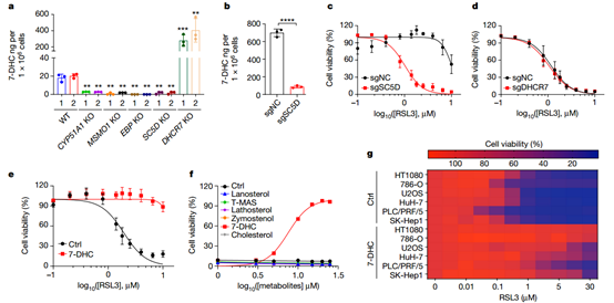 1708500142733997.png D3.png