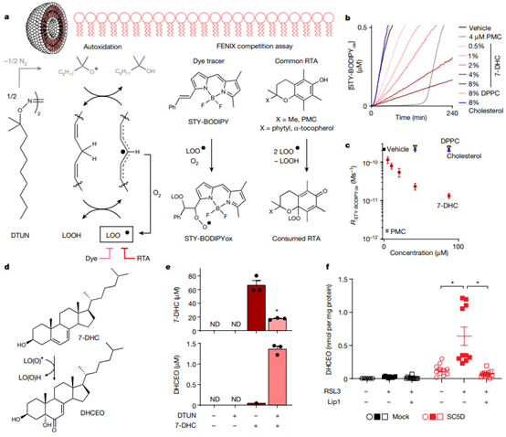 1708500155604186.png D5.png