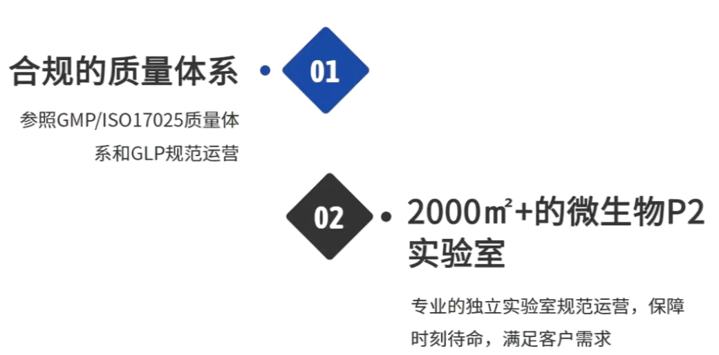 1709261065755752.png 1708585439501-ckt-摳圖.png