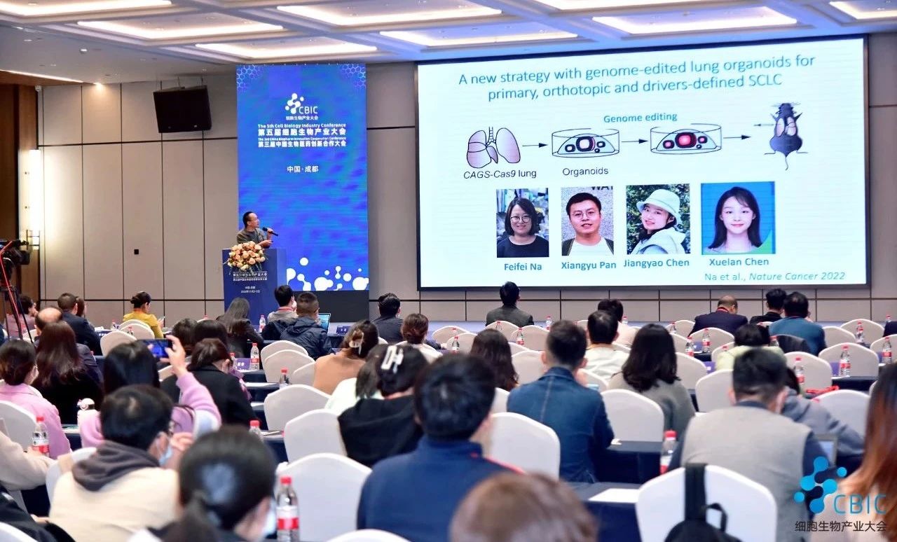 1712647850624968.jpg 3.jpg