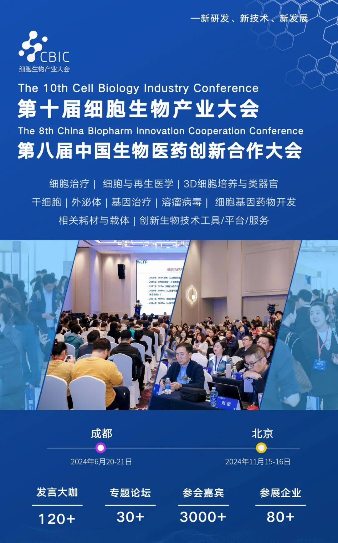 1712647948459294.jpg 10.jpg