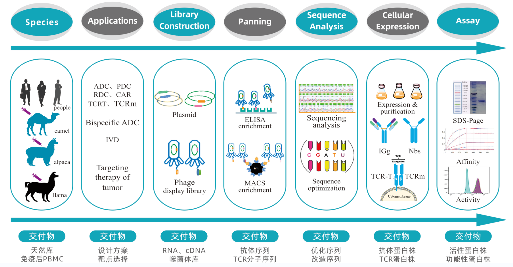 1713763215958517.png 技術(shù)服務(wù).png
