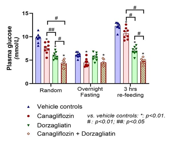 給藥5天，卡格列凈、多格列艾汀和聯(lián)合用藥的血糖水平（隨機、過夜空腹和空腹后再進食）