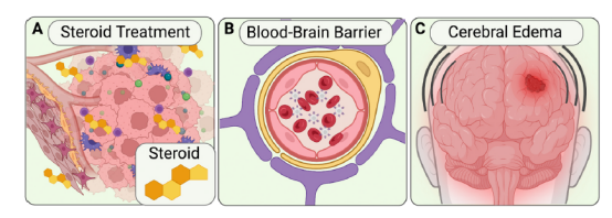 1724124005968361.png 555.png