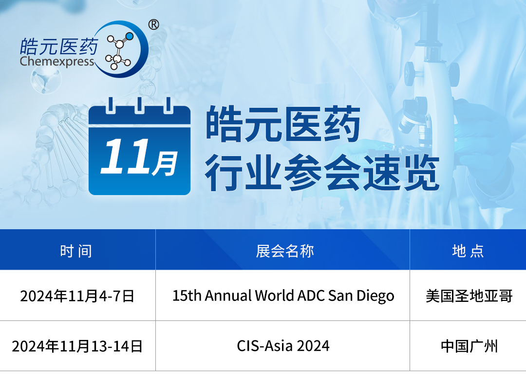 1730358399246676.png 2_NKnXwl0kbzHTMVT9eaa1PpeCbgynhQ.png