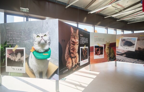“反轉(zhuǎn)喵生”領(lǐng)養(yǎng)故事展主展區(qū)