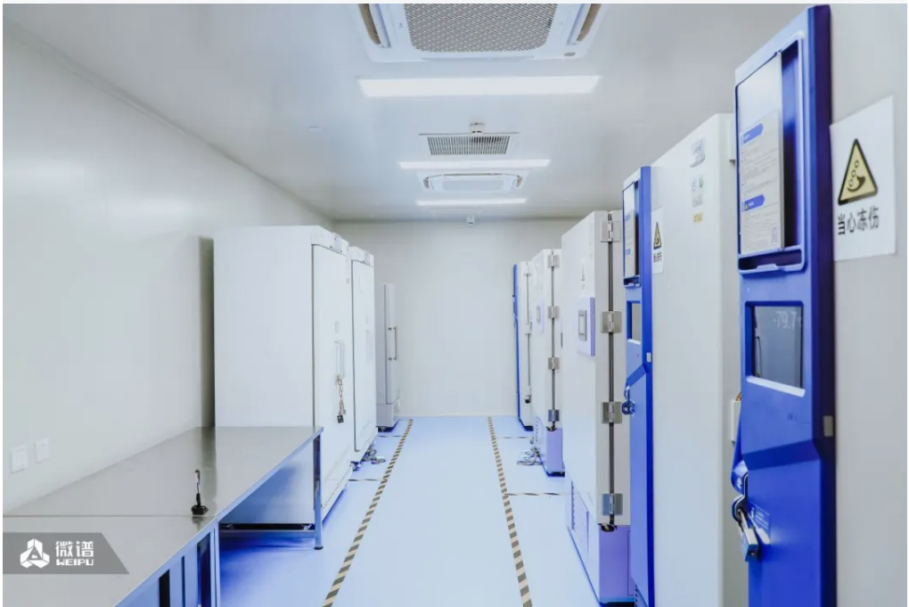 1733477572972003.png 05.png