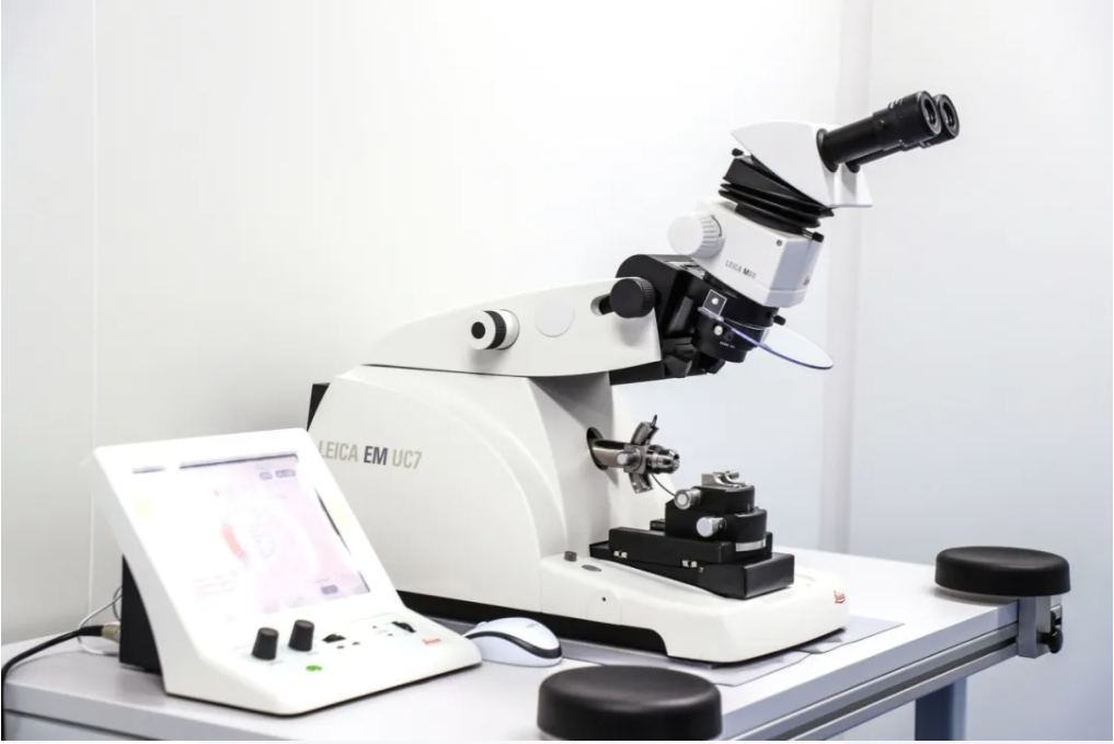 1733713849757242.png 06.png