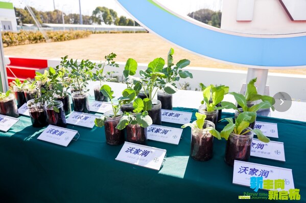 現(xiàn)場展示的沃家潤&reg;對照實驗