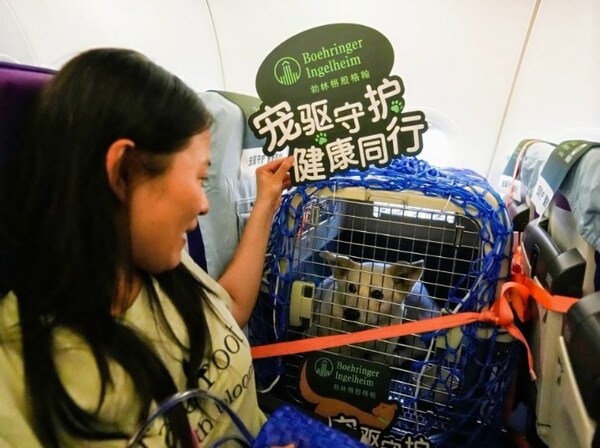 國內(nèi)首個寵物進客艙的人寵包機出境游