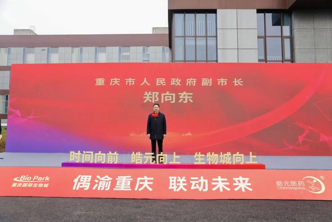 1742890244323637.jpg 2_cBWp4GvyTYCEDyZ9jXvlSiczQGztEQ.jpg