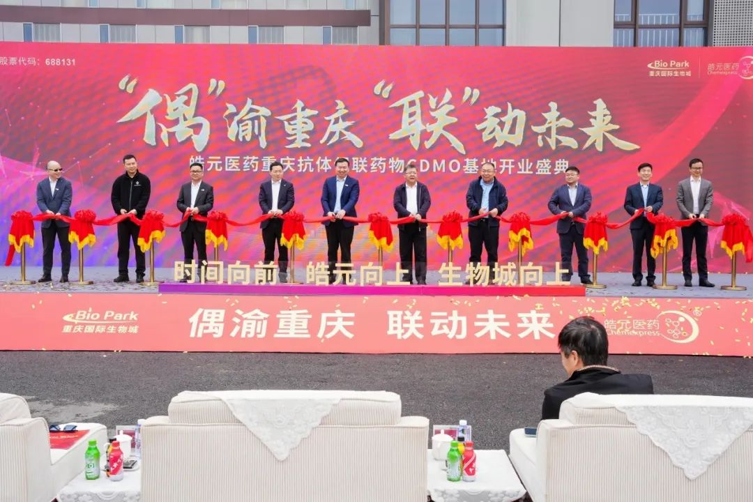 1742890269773181.jpg 5_nQ3CbAGftDTT17SKffYd7BmOW5cvhg.jpg