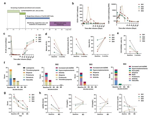 TyU19治療SLE的臨床應(yīng)答與免疫重建