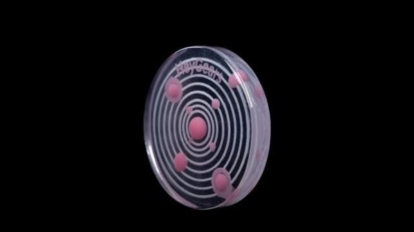 多材料一體打印成品