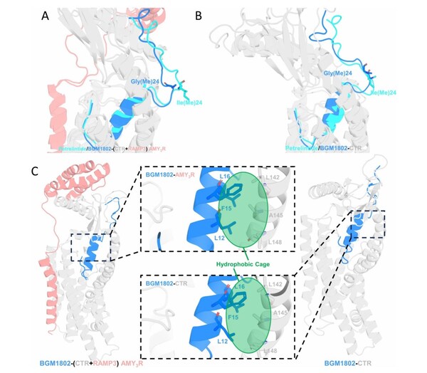 分子動力學模擬中的穩(wěn)定構象